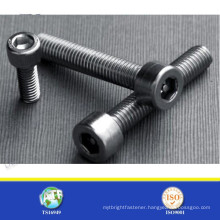 SS steel tamper proof head screw